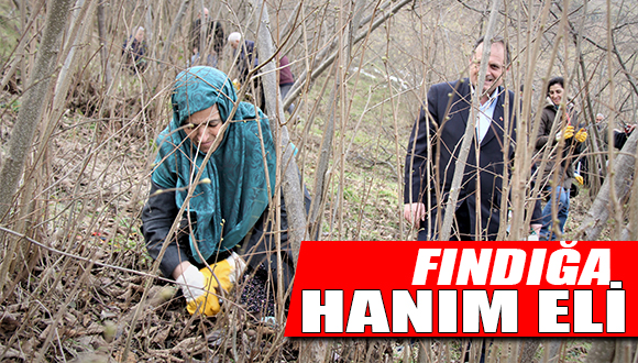 Fındığa Hanım Eli Değdi