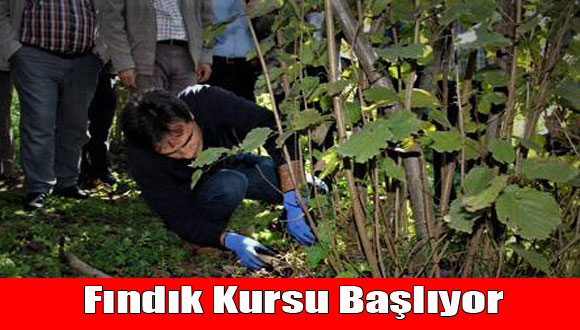 Fındık Kursu Başlıyor