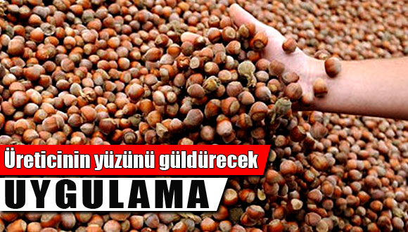 Fındık Üreticisinin Yüzünü Güldürecek Uygulama