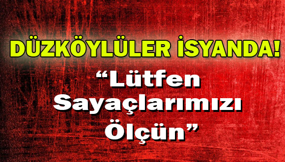 Düzköylüler İsyanda