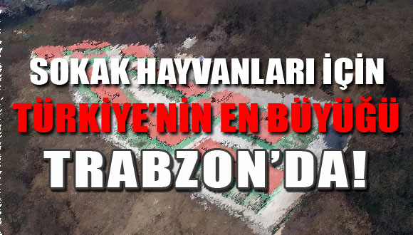Doğal Yaşam Alanı ve Hayvan Bakım  Merkezi Büyük Oranda Tamamlandı