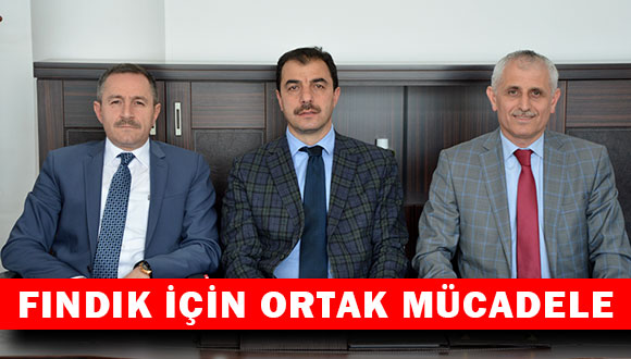 Fındık İçin Ortak Mücadele