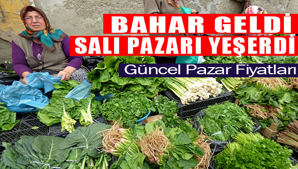 Salı Pazarı Yeşillendi