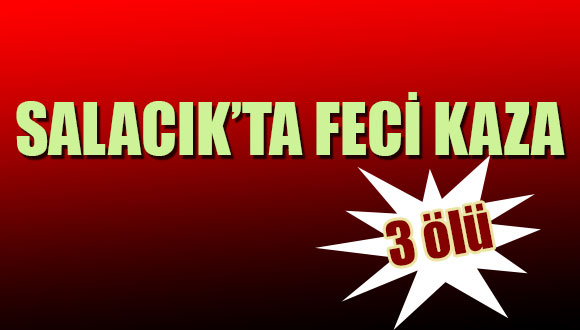 Salacık’ta Feci Kaza