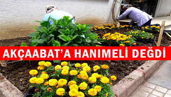 Akçaabat’a Hanımeli Değdi