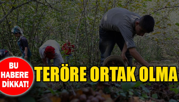 PKK’lılar fındık işçisi bahanesiyle bölgeye sızmaya çalışıyor