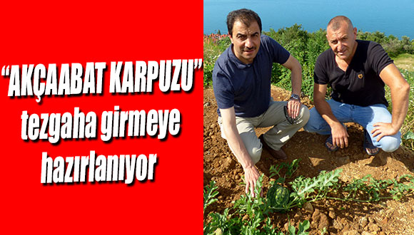 Akçaabat Karpuzu Tezgaha Girmeye Hazırlanıyor