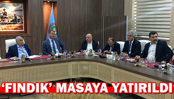 ‘Fındık’ masaya Yatırıldı