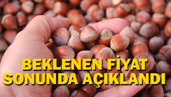 Bakan Fakıbaba fındık fiyatını açıkladı