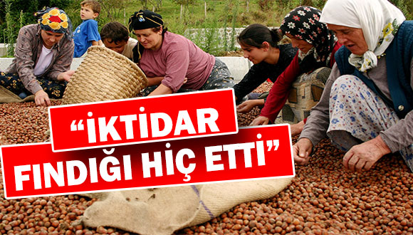 İktidar Fındığı Hiç Etti
