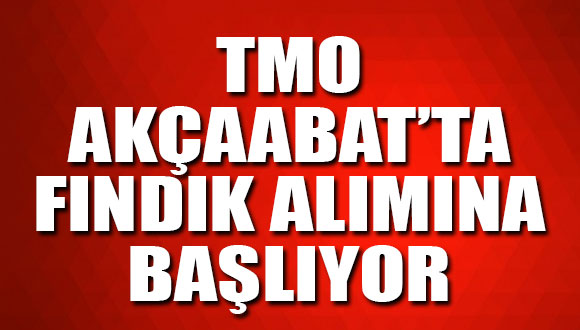 TMO Akçaabat’ta Fındık Alımına Başlıyor