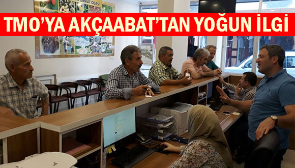 TMO’ya Akçaabat’tan Yoğun İlgi