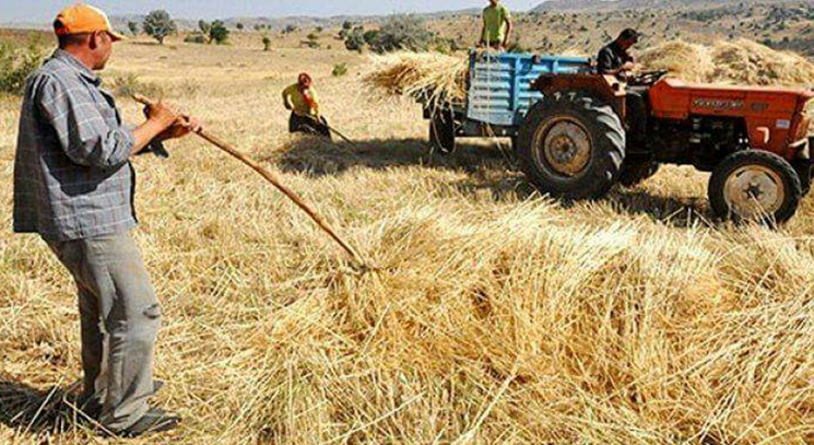 2017 MAZOT VE GÜBRE DESTEKLEME LİSTESİ ASKIYA ÇIKTI