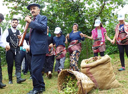 FINDIK HASADI HORONLA BAŞLADI