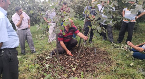 HASAT SONRASI BUDAMA EĞİTİMİ