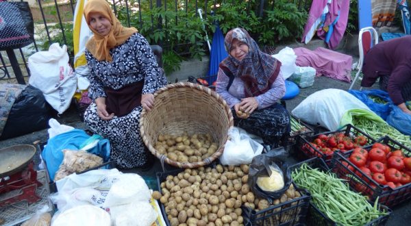 PATATES DİKİM ZAMANINA DİKKAT
