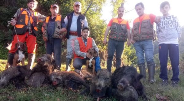 DOMUZLAR MAHALLELİYİ CANINDAN BIKTIRDI