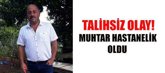 Yol Çalışmasına Katılan Muhtar Hastanelik Oldu