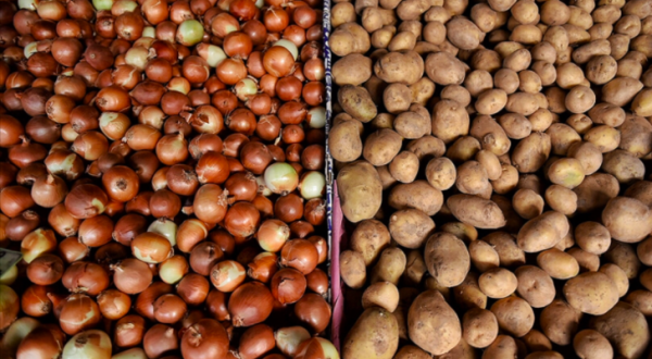 TRABZON’DA ÜCRETSİZ PATATES SOĞAN NE ZAMAN NEREDE DAĞITILACAK