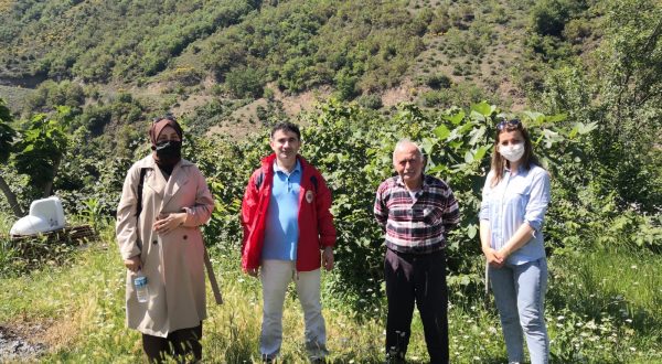 AKÇAABAT ZİRAAT ODASI’NIN ZİRAAT MÜHENDİSLERİ SAHADA